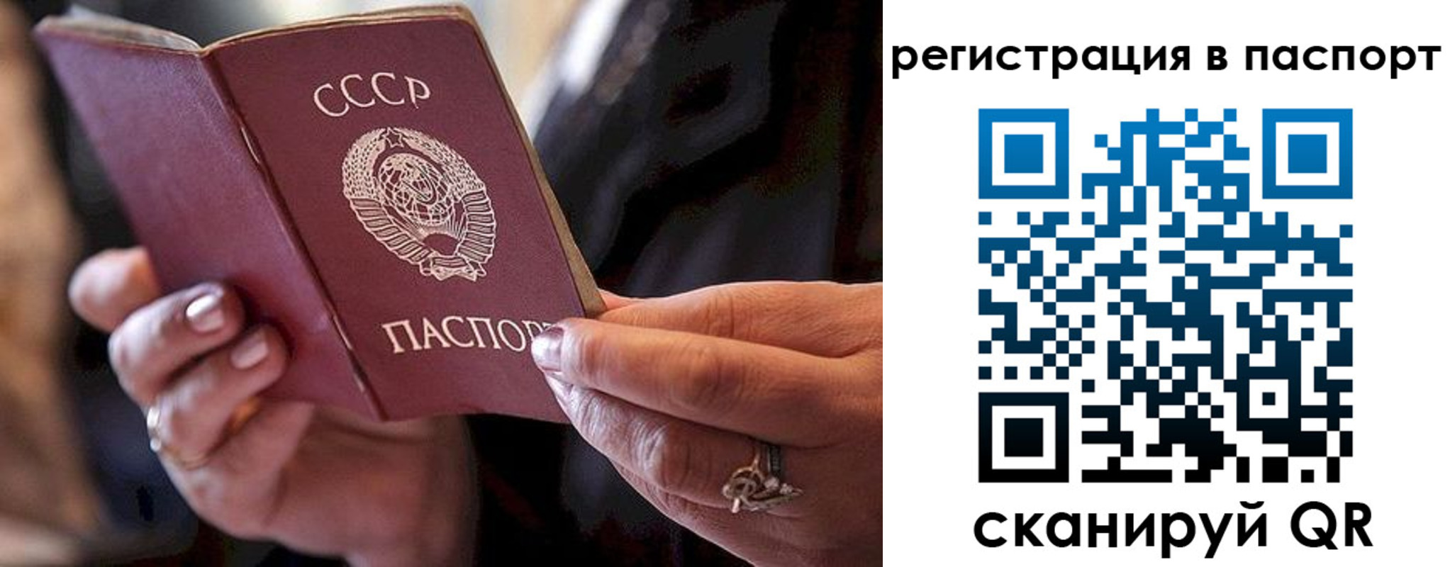 временная регистрация для всех в Оленегорске